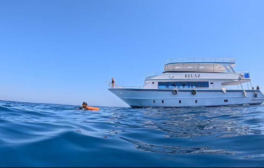 Dolphin House Trip – Hurghada