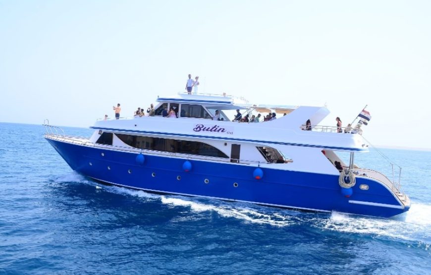 Dolphin House Trip – Hurghada
