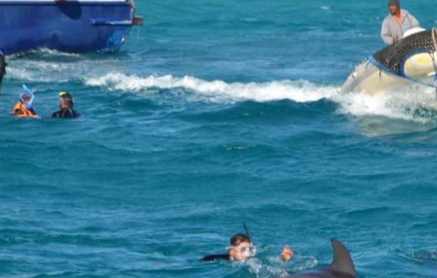 Dolphin House Trip – Hurghada