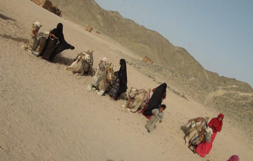 Desert Safari Adventure – Hurghada