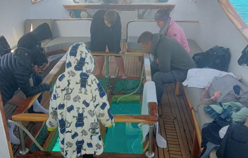 Private Fishing & Island Trip by Glass Boat – Hurghada